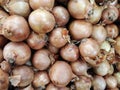 Texture of onions