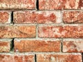 Texture of orange bricks