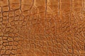 Texture of orange brown genuine leather close-up, with embossed scales reptiles, fashion trend pattern, wallpaper or