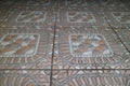 The texture of the orange embossed floor in front of the house