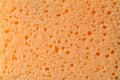Texture of orange sponge as background Royalty Free Stock Photo