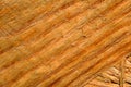 Texture Oriented strand board