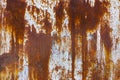 Texture painted rusted metal, colored background with iron fence. grunge green-yellow old dirty abstract background. Royalty Free Stock Photo