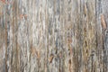 Texture of the painted shabby wooden boards, grunge background. Old rustic wooden wall, vintage background Royalty Free Stock Photo