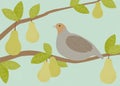 Textured partridge and pear tree