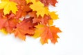 Texture, pattern, background. autumn maple leaf on a white back Royalty Free Stock Photo