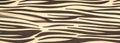 Texture pattern background collection, silk fabric, African Style zebra skin For designer, model, interior, imitation, fashion