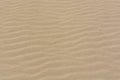 Texture, pattern, background of sand in the dunes of Maspalomas, Grand Canary