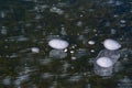 Texture pattern background white Winter, river ice air bubbles stagnant. drawing on ice frost formed. Severe cold frozen water. a Royalty Free Stock Photo