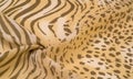 Texture, pattern, collection, silk fabric, African theme, animal skins, brown tones, Watercolor Background Photos Printed Props