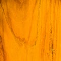 Texture and pattern of gold teak wood