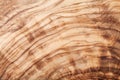 Texture Or Pattern Of Olive Wood Board. Natural Background.
