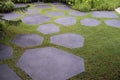 Texture or pattern of paving walkway.