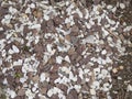Texture pattern. Small granite pebbles of brown and white color for the background Royalty Free Stock Photo