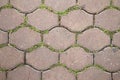 Texture of pavement tile with small grass in between