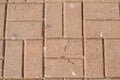 Texture of paving slabs. Flat photo of paving slabs