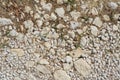 Texture of pebbles of different sizes and dried grass Royalty Free Stock Photo
