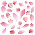 Texture from petals of rose, sakura and lotus isolated on white background