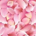 Texture from petals of rose, sakura and lotus isolated on white background