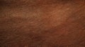 Texture of brown raw leather background Royalty Free Stock Photo