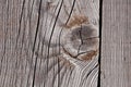 Grey weathered wood texture showing cracks, knots and growth rings