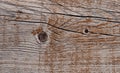 Grey weathered wood texture showing cracks, knots and growth rings