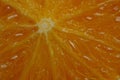 texture of a piece of ripe raw orange