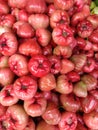 texture of a pile of fresh and red guavas Royalty Free Stock Photo
