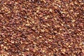 Texture of pine nut shell, used as a soil fertilizer Royalty Free Stock Photo