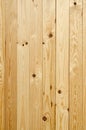 Texture of pine wood Royalty Free Stock Photo