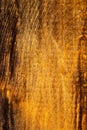 Texture of pine wood covered with yellow varnish