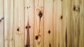 Texture of pine wood wall