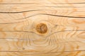 Texture of pine wood. Wooden background