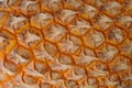 Texture of pineapple skin as background Royalty Free Stock Photo
