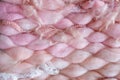 Texture of pink big knit blanket. Large knitting. Plaid merino wool. Top view Royalty Free Stock Photo