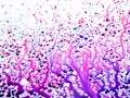 Texture of pink and blue spots of paint isolated on a white background. Abstract colorful stain pattern of multi-colored liquid