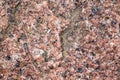 The texture of pink granite interspersed with moss in the area Royalty Free Stock Photo