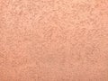 Texture of the pink plaster bark beetle on the wall. Seamless texture Royalty Free Stock Photo
