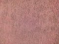 Texture of the pink plaster bark beetle on the wall. Seamless texture Royalty Free Stock Photo