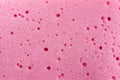 texture of pink sponge. Close up, macro photo. Royalty Free Stock Photo