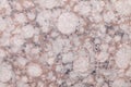 Texture of pink and white marble with spotted pattern, macro background. Light brown and rose stone backdrop Royalty Free Stock Photo