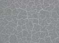 Texture of the plaster craquelure, Venetian stucco, crackle, glitter, silver