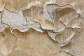 Texture of the plaster bulges Royalty Free Stock Photo