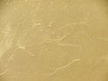 Texture plaster, venetian stucco, stone marble antique wall