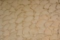 Texture of plastering wall