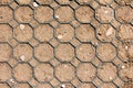 Texture of plastic and metal dark green mesh filled with dry soil on side of small hill at local public park