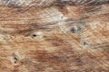 The texture of the polished cut of a tree in brown tones. The cut of the board of the sawn wood. Natural construction material. Fu