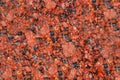Texture of polished red granite stone. Abstract background Royalty Free Stock Photo