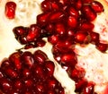 Texture of Pomegranate garnet seeds fruit cut