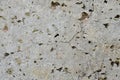 The texture of porous concrete in cracks.